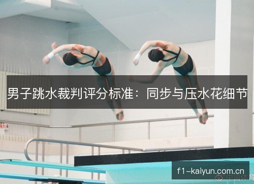 男子跳水裁判评分标准：同步与压水花细节